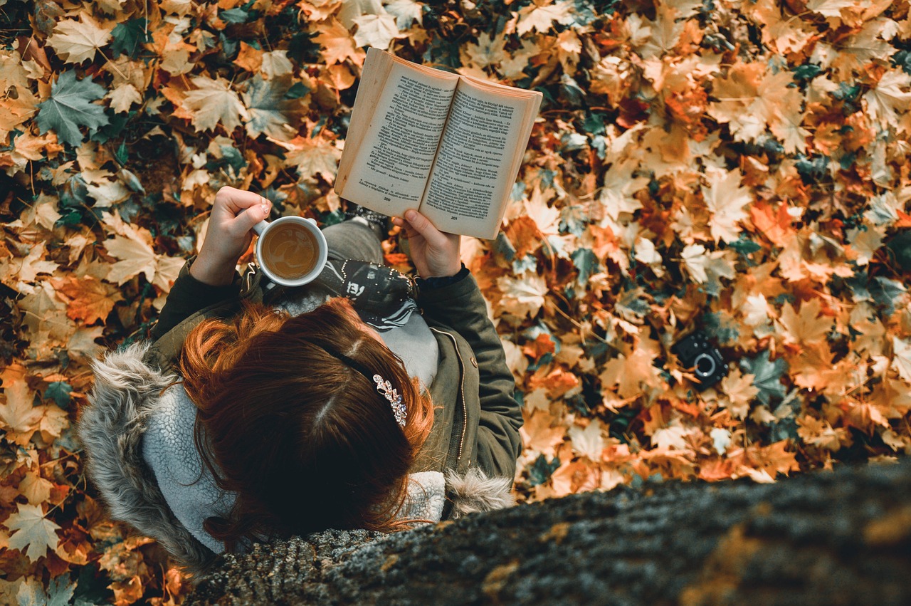 Book Review Friday.